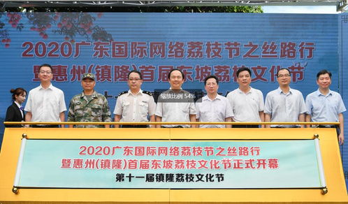 千年荔香承文脉 惠州市镇隆镇举办首届东坡荔枝文化节